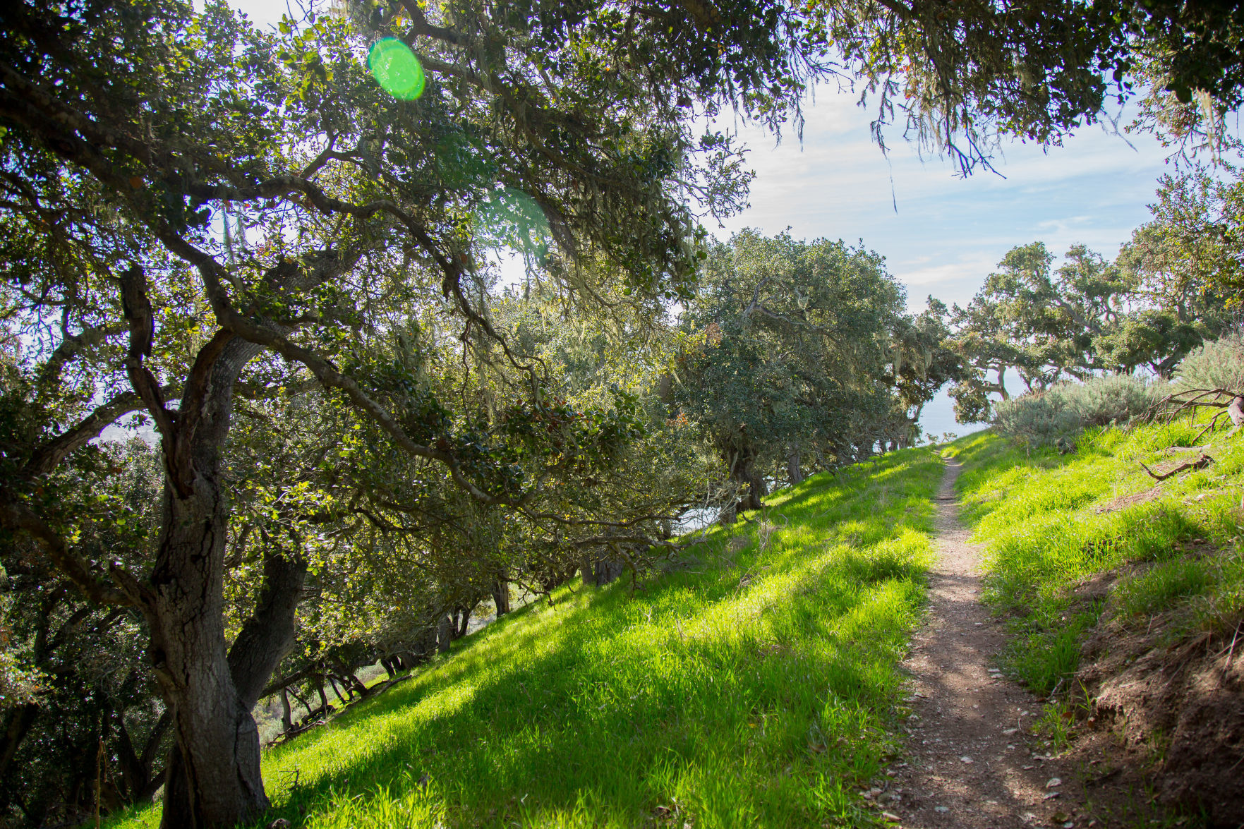 012520 Pismo Preserve 12.jpg